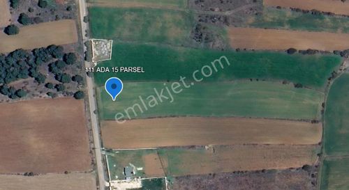 Arsa-Tarla