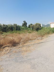 Arsa-Konut İmarlı