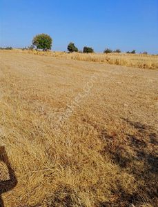 Arsa-Tarla