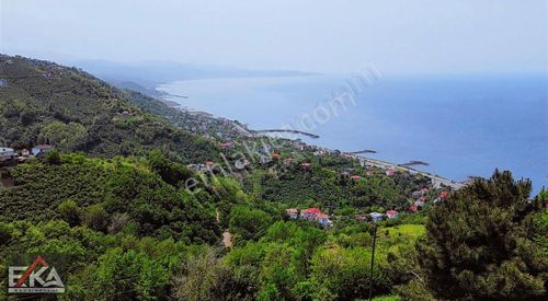 Arsa-Villa İmarlı