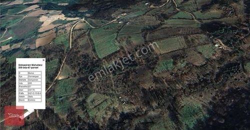 Arsa-Tarla