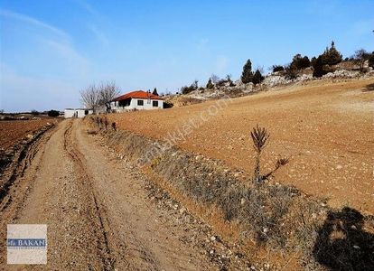 Arsa-Tarla