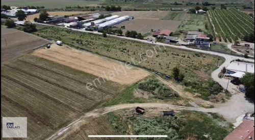 Arsa-Tarla