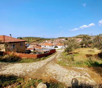 Arsa-Zeytinlik