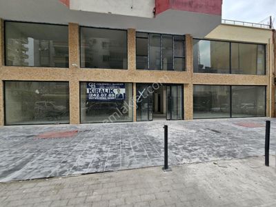 İşyeri-Dükkan & Mağaza