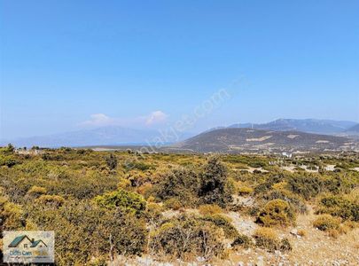 Arsa-Konut İmarlı