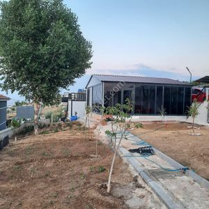 Arsa-Bağ & Bahçe