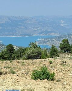 Arsa-Bağ & Bahçe
