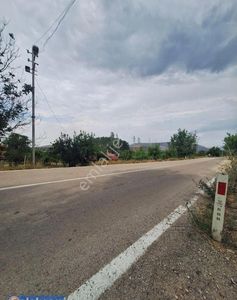 Arsa-Bağ & Bahçe
