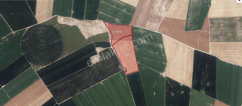 Arsa-Tarla