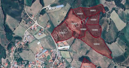 Arsa-Tarla
