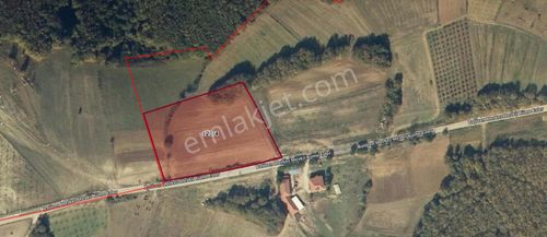 Arsa-Tarla