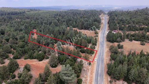 Arsa-Villa İmarlı