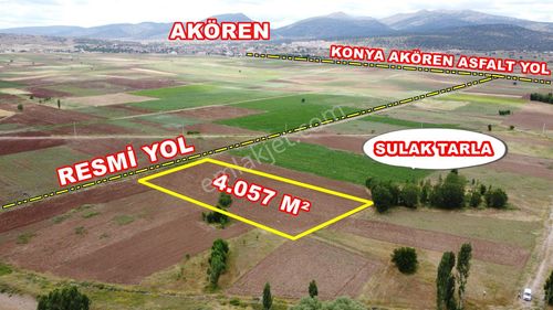 Arsa-Tarla