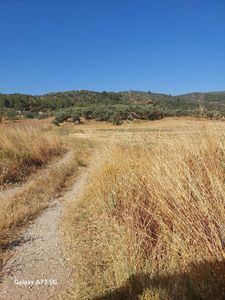 Arsa-Tarla