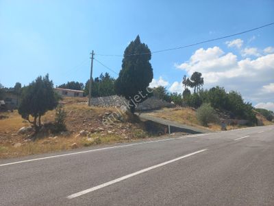 Arsa-Tarla