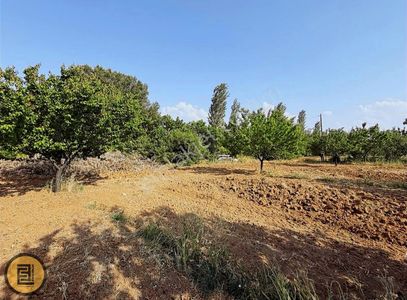 Arsa-Bağ & Bahçe