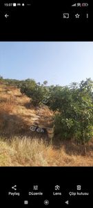 Arsa-Bağ & Bahçe