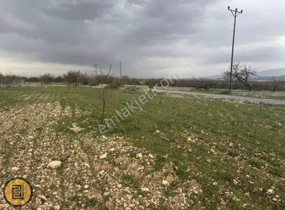 Arsa-Bağ & Bahçe
