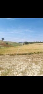 Arsa-Tarla
