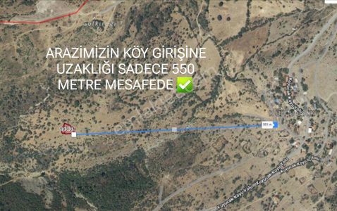 Arsa-Bağ & Bahçe