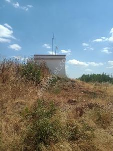 Arsa-Tarla
