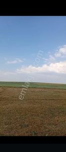 Arsa-Tarla