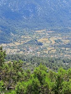 Arsa-Tarla