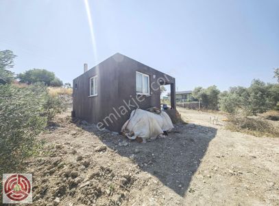 Arsa-Özel Kullanım