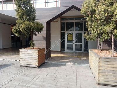 İşyeri-Dükkan & Mağaza