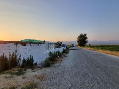 Arsa-Bağ & Bahçe