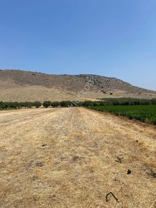 Arsa-Tarla