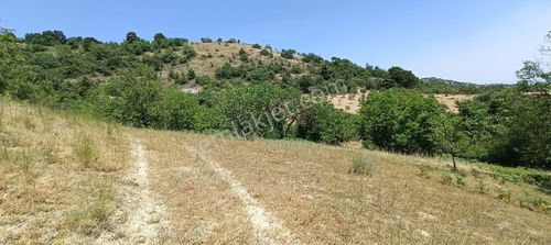 Arsa-Tarla