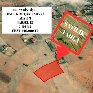 Arsa-Tarla