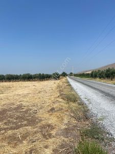 Arsa-Tarla