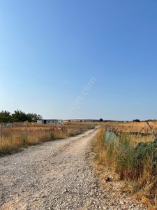 Arsa-Tarla