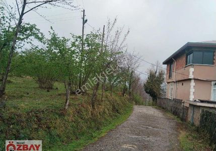 Arsa-Bağ & Bahçe
