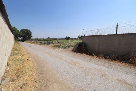 Arsa-Bağ & Bahçe