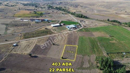Arsa-Tarla