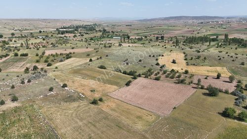 Arsa-Tarla