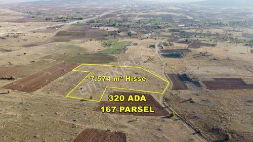 Arsa-Tarla