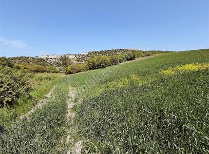 Arsa-Tarla