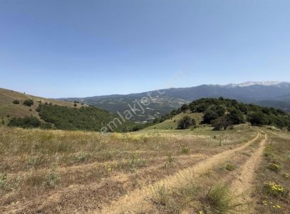 Arsa-Tarla