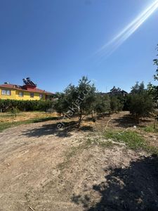 Arsa-Konut İmarlı
