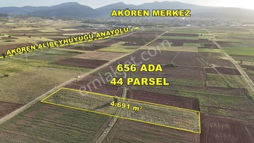Arsa-Tarla