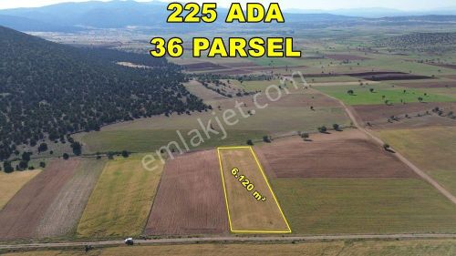 Arsa-Tarla