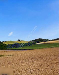 Arsa-Tarla