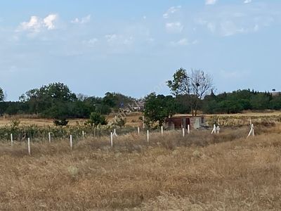 Arsa-Tarla