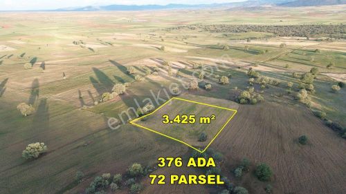 Arsa-Tarla