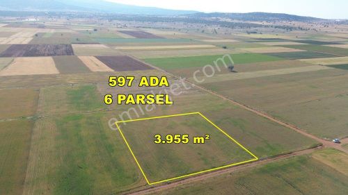 Arsa-Tarla